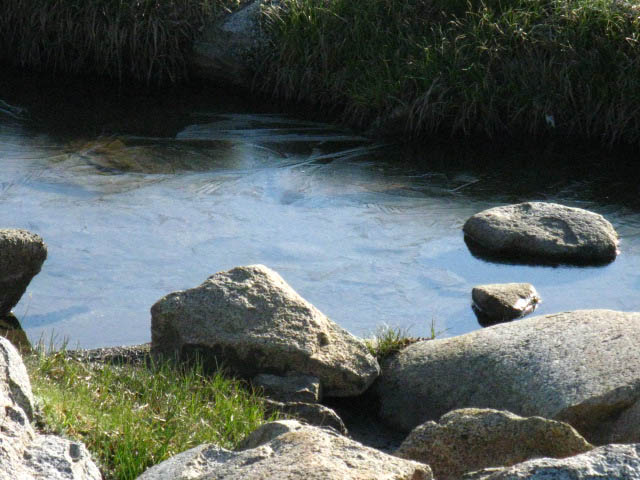 Rush Creek with iced surface, August 8, 2009